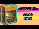 Агрикола. Соло игра.