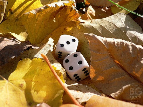 Dice