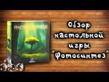 Обзор настольной игры «Фотосинтез» (Photosynthesis)