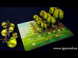 Фотосинтез (Photosynthesis). Обзор настольной игры от Игроведа.