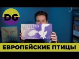 Обзор и распаковка допа 