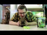 В мире настольных животных (обзор настольной игры