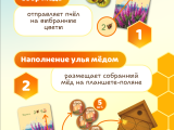 игра "Золото улья": Как играть_1
