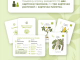 игра "Флора": Как играть_1