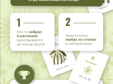 игра "Флора": Завершение игры