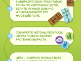 игра "Чудо роста": Как играть