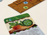 игра "Чудо роста": Фото_4
