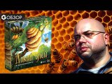 Пчелы против шершней! - Обзор настольной игры Дикий Улей