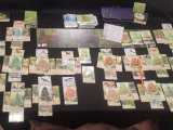 игра "Forest Shuffle: Exploration": В конце партии на двоих