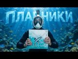 Плавники - Обзор настольной игры