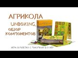Вскрытие посылки. Обзор компонентов.